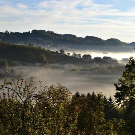 Obstbau und Gästezimmer Stani Kitzeck im Sausal Exterior foto