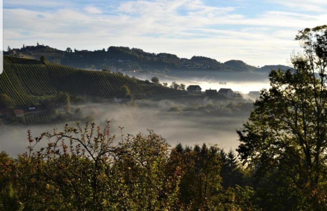 Obstbau und Gästezimmer Stani Kitzeck im Sausal Exterior foto
