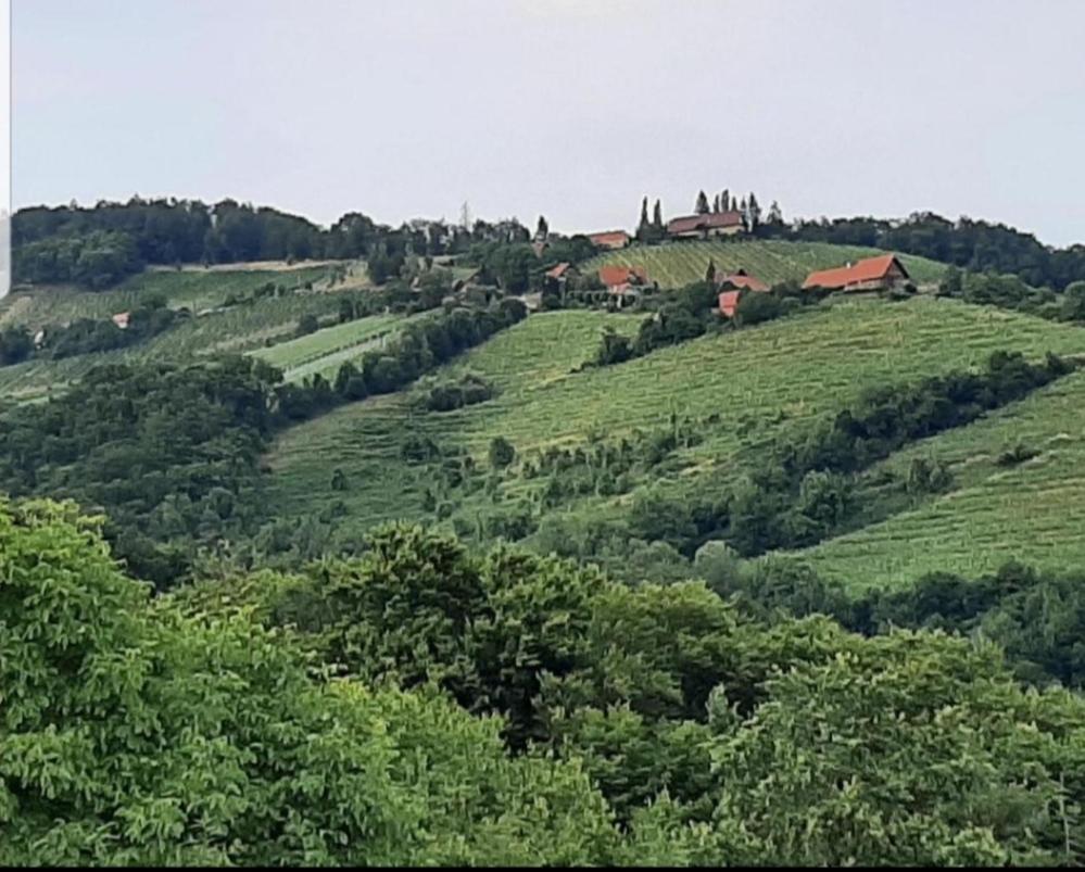 Obstbau und Gästezimmer Stani Kitzeck im Sausal Exterior foto