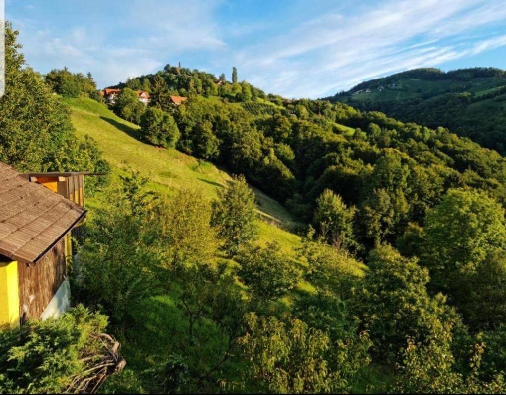 Obstbau und Gästezimmer Stani Kitzeck im Sausal Exterior foto