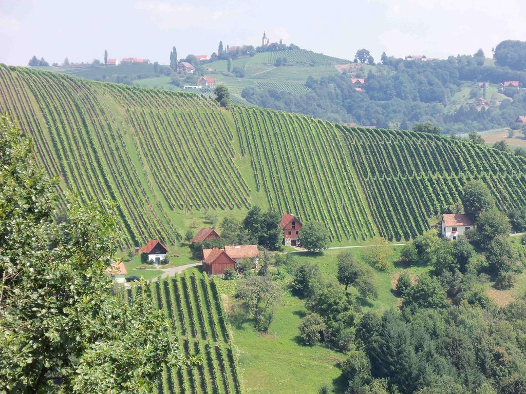 Obstbau und Gästezimmer Stani Kitzeck im Sausal Exterior foto